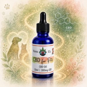 CBD Oil for Pets