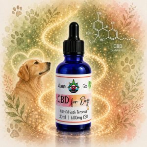 CBD Oil for Dogs
