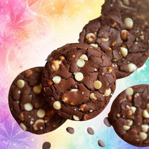 Triple Chocolate Biscuit